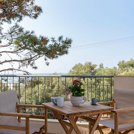 Alexandros Maisonettes & Apartments 네아 모우다니아 외부 사진