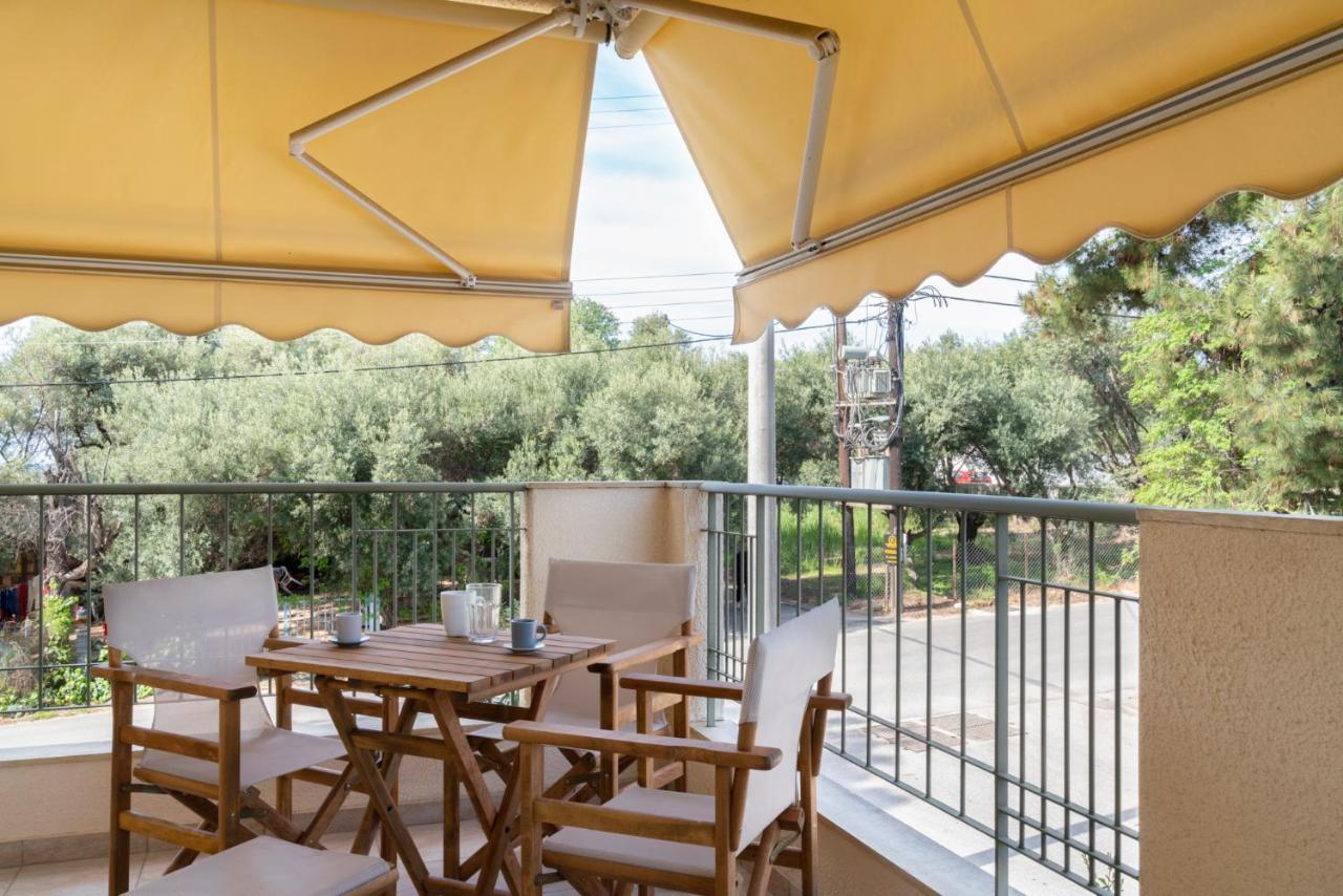 Alexandros Maisonettes & Apartments 네아 모우다니아 외부 사진